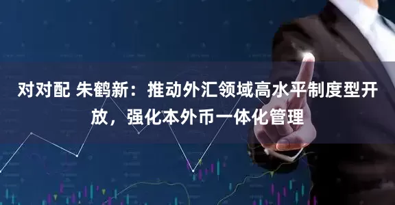 对对配 朱鹤新：推动外汇领域高水平制度型开放，强化本外币一体化管理