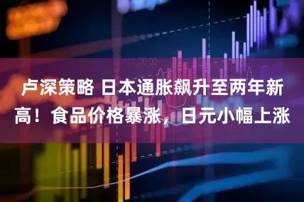 卢深策略 日本通胀飙升至两年新高！食品价格暴涨，日元小幅上涨