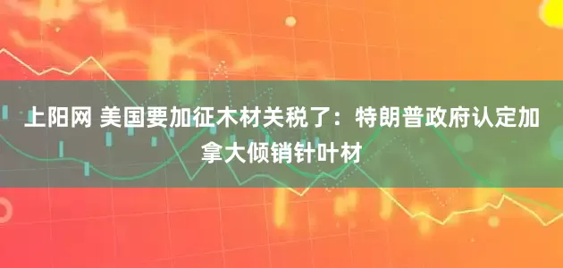 上阳网 美国要加征木材关税了：特朗普政府认定加拿大倾销针叶材