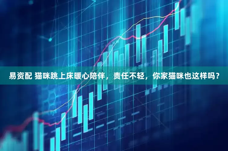 易资配 猫咪跳上床暖心陪伴，责任不轻，你家猫咪也这样吗？