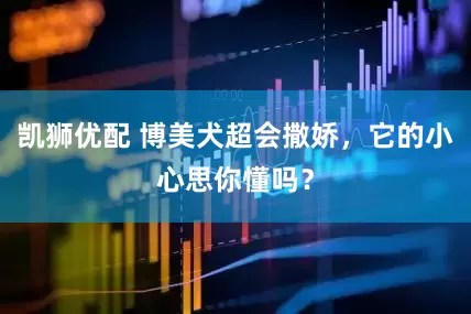 凯狮优配 博美犬超会撒娇，它的小心思你懂吗？