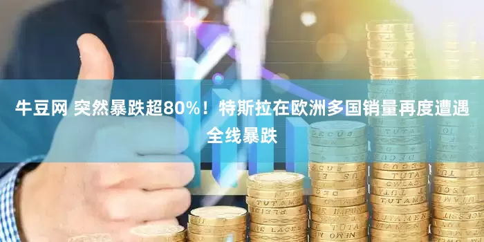 牛豆网 突然暴跌超80%！特斯拉在欧洲多国销量再度遭遇全线暴跌
