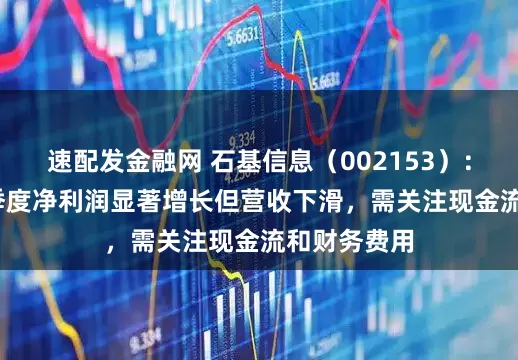 速配发金融网 石基信息（002153）：2025年一季度净利润显著增长但营收下滑，需关注现金流和财务费用