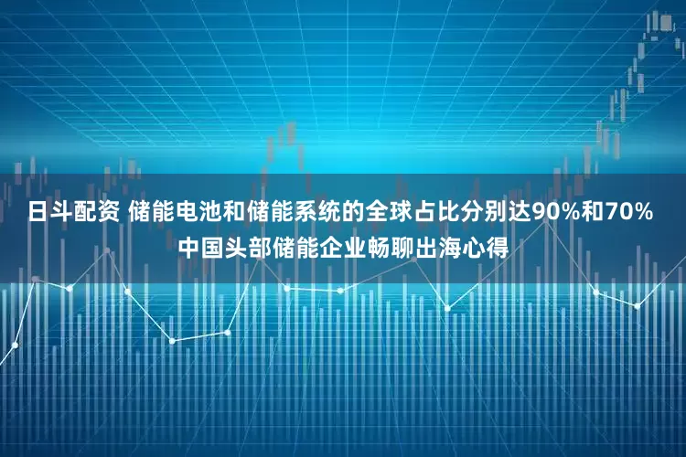 日斗配资 储能电池和储能系统的全球占比分别达90%和70% 中国头部储能企业畅聊出海心得