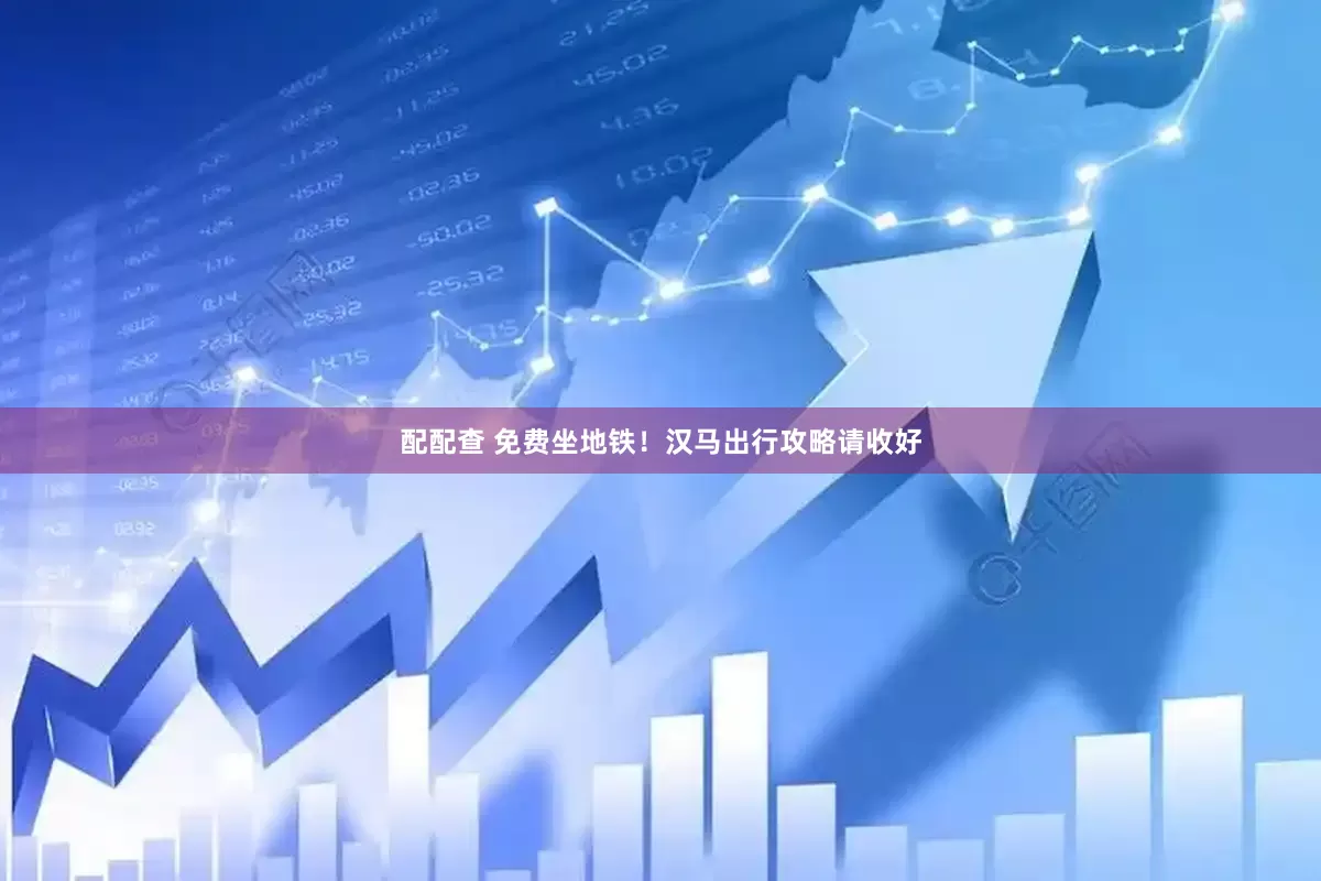 配配查 免费坐地铁！汉马出行攻略请收好
