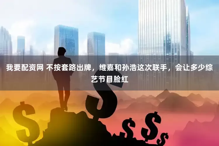我要配资网 不按套路出牌，维嘉和孙浩这次联手，会让多少综艺节目脸红